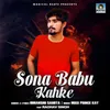 About Sona Babu Kahke Song